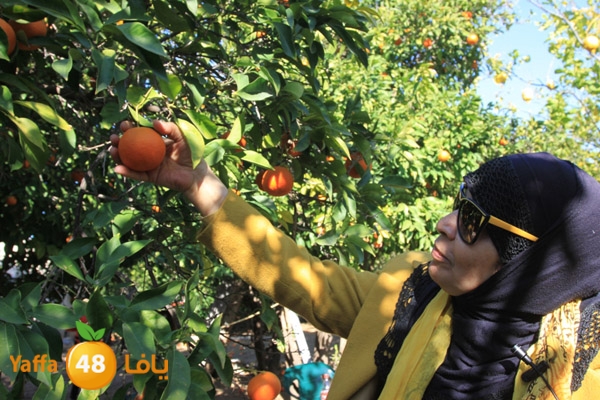 ibtesamat n0130 (2).JPG